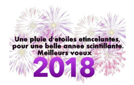 Meilleurs voeux 2018